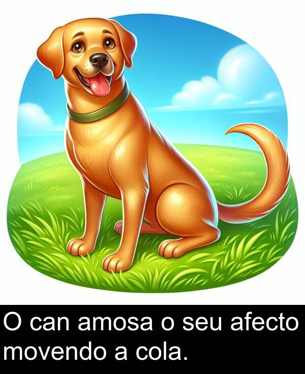 afecto: O can amosa o seu afecto movendo a cola.