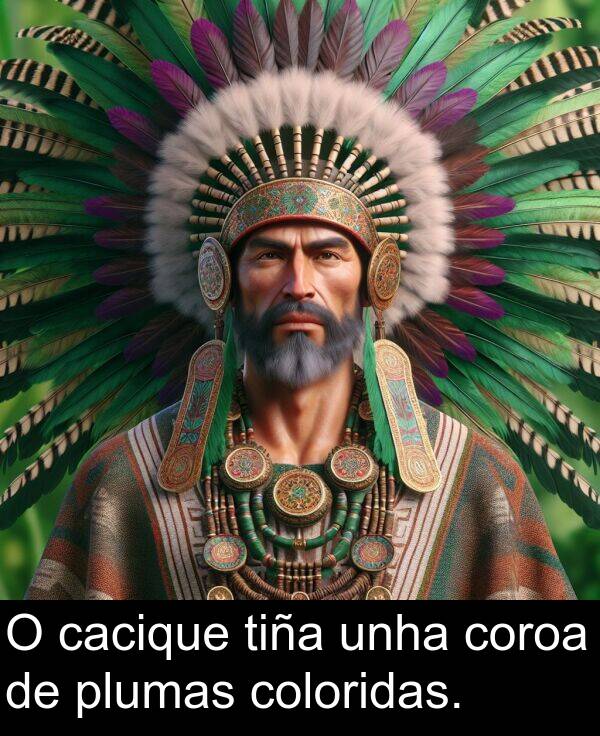 tiña: O cacique tiña unha coroa de plumas coloridas.