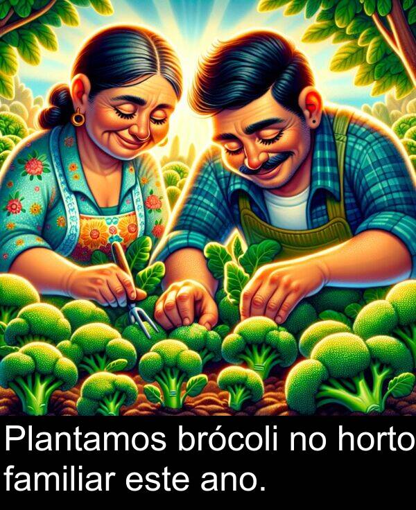 este: Plantamos brócoli no horto familiar este ano.