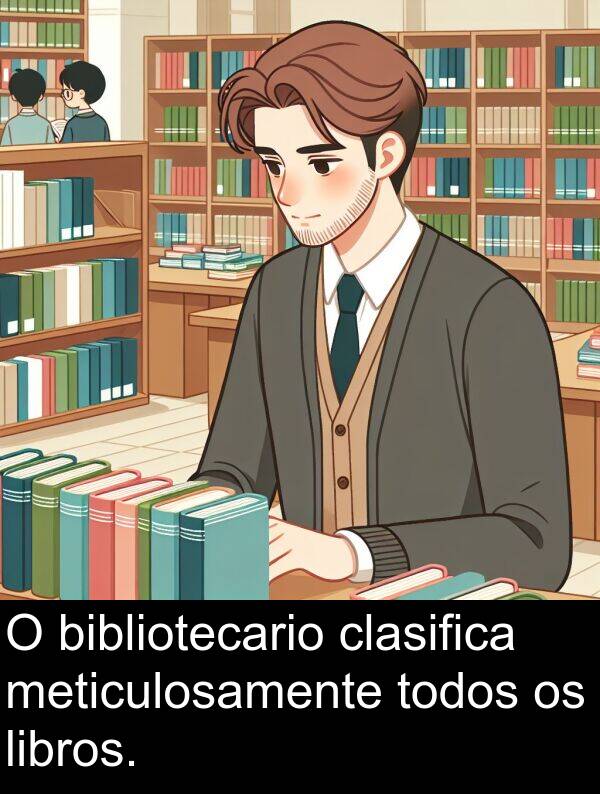 bibliotecario: O bibliotecario clasifica meticulosamente todos os libros.