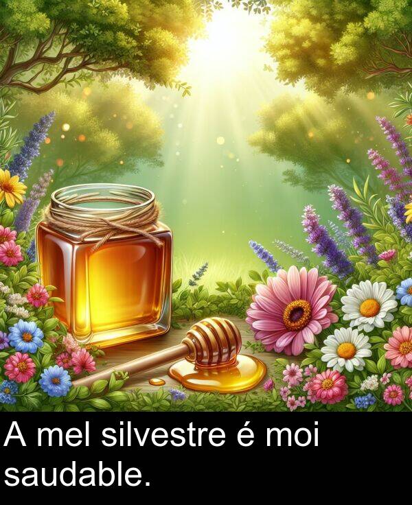 saudable: A mel silvestre é moi saudable.