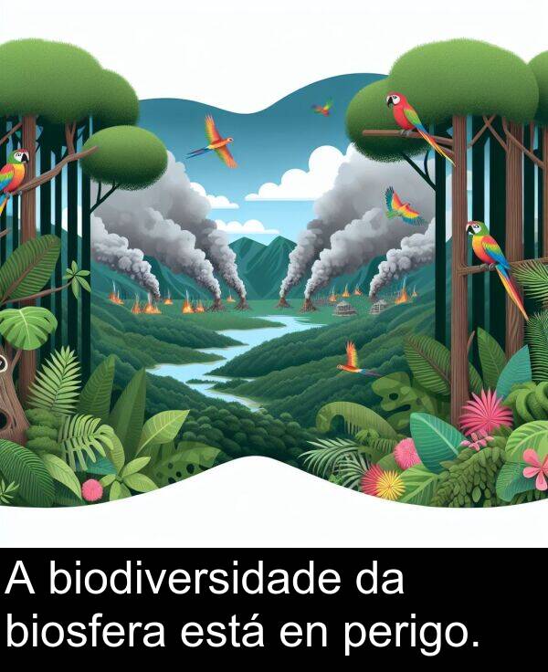 perigo: A biodiversidade da biosfera está en perigo.