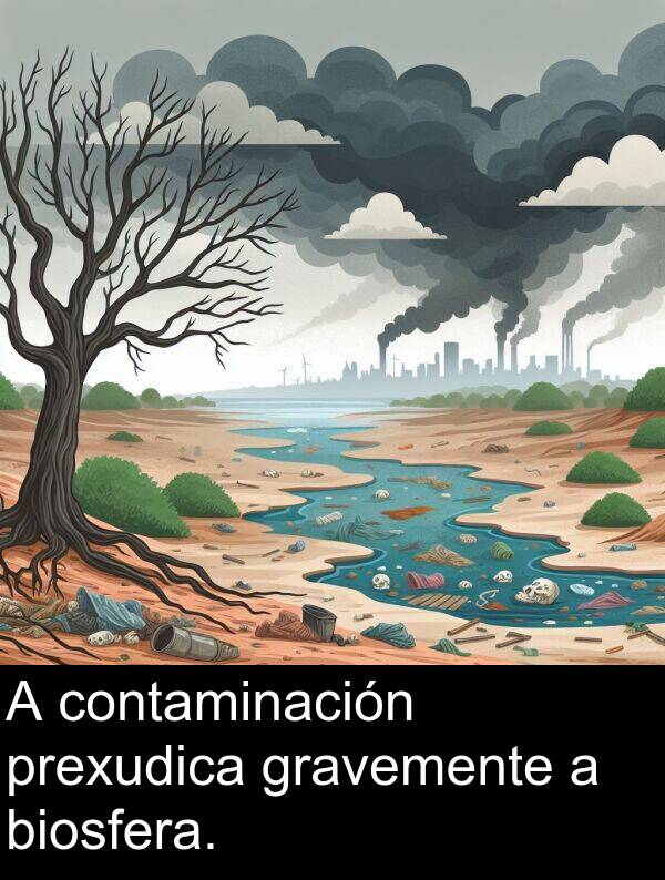 contaminación: A contaminación prexudica gravemente a biosfera.