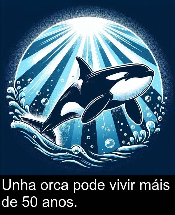 anos: Unha orca pode vivir máis de 50 anos.
