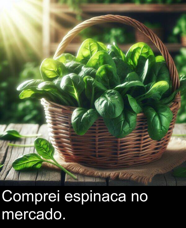 espinaca: Comprei espinaca no mercado.