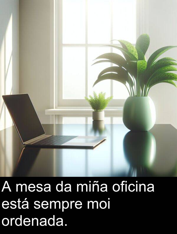 miña: A mesa da miña oficina está sempre moi ordenada.