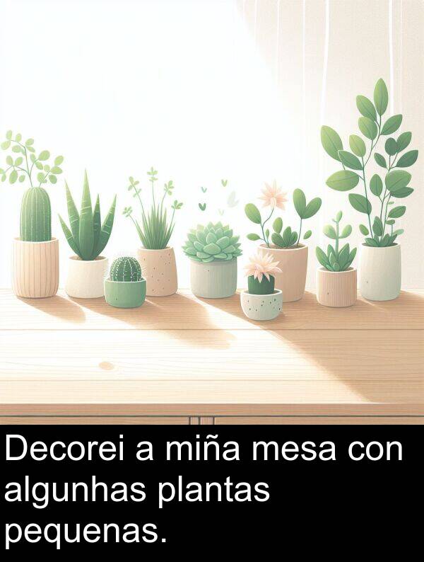algunhas: Decorei a miña mesa con algunhas plantas pequenas.