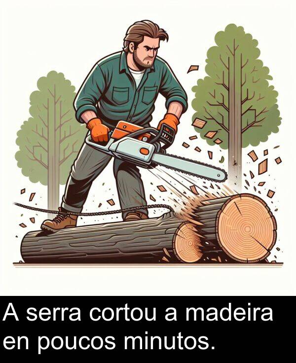 minutos: A serra cortou a madeira en poucos minutos.