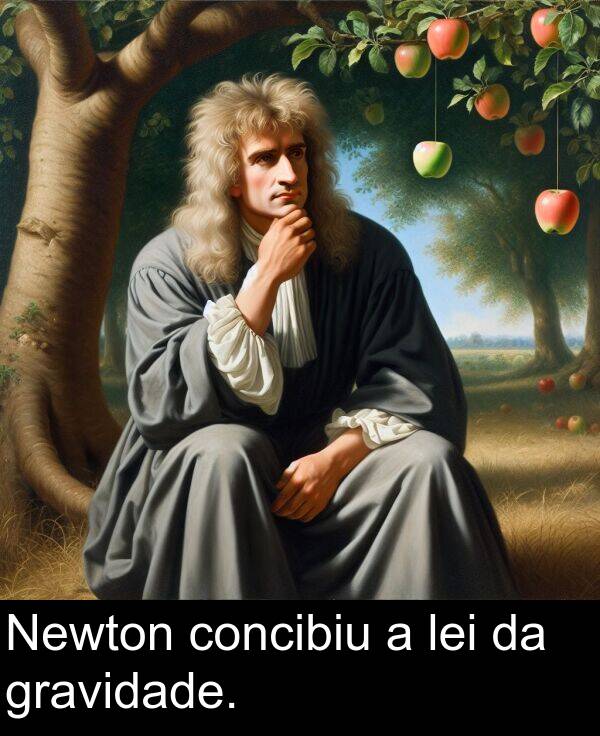 gravidade: Newton concibiu a lei da gravidade.