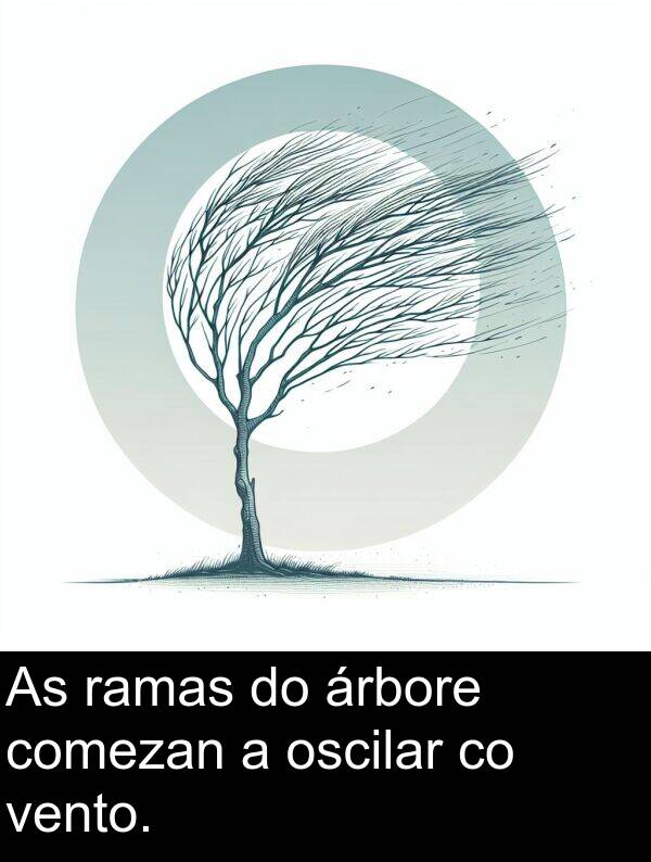 ramas: As ramas do árbore comezan a oscilar co vento.