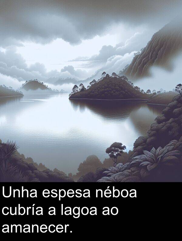 cubría: Unha espesa néboa cubría a lagoa ao amanecer.