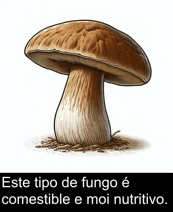 fungo: Este tipo de fungo é comestible e moi nutritivo.