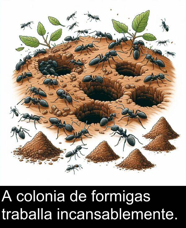 colonia: A colonia de formigas traballa incansablemente.
