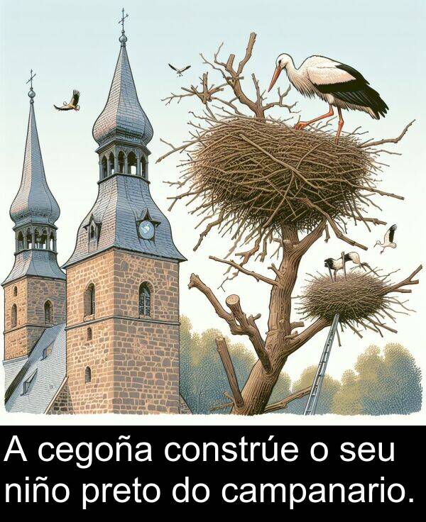 constrúe: A cegoña constrúe o seu niño preto do campanario.