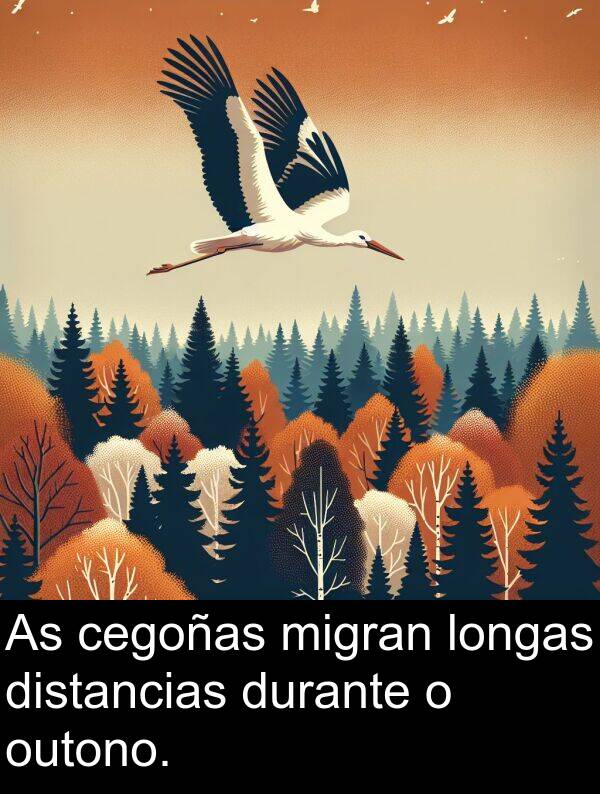 durante: As cegoñas migran longas distancias durante o outono.