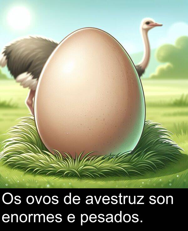 pesados: Os ovos de avestruz son enormes e pesados.