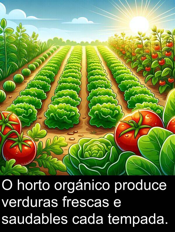 frescas: O horto orgánico produce verduras frescas e saudables cada tempada.