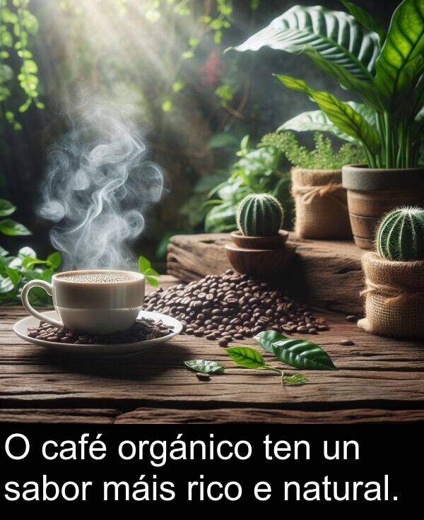 rico: O café orgánico ten un sabor máis rico e natural.