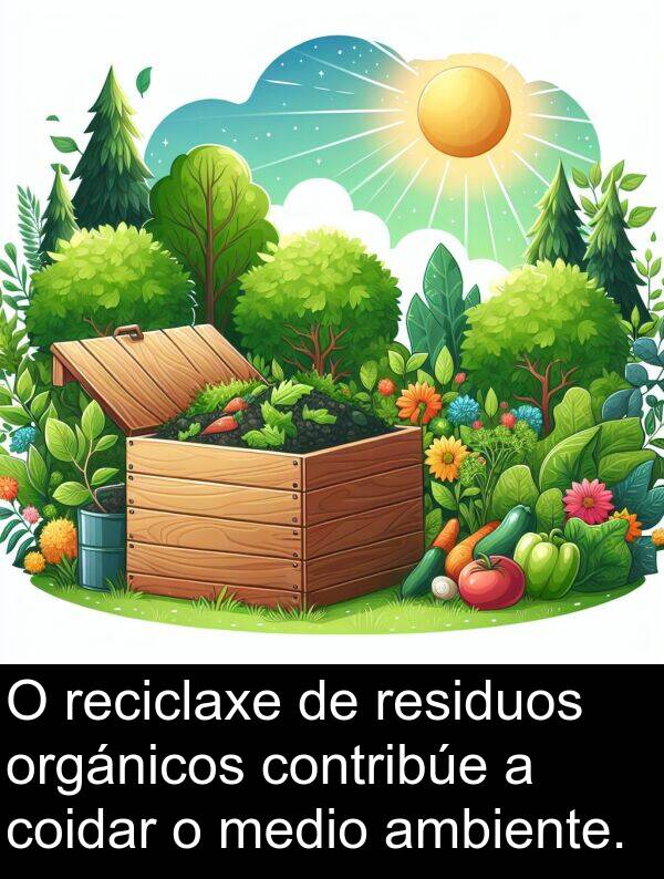 medio: O reciclaxe de residuos orgánicos contribúe a coidar o medio ambiente.