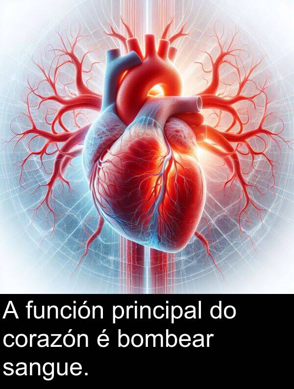 función: A función principal do corazón é bombear sangue.
