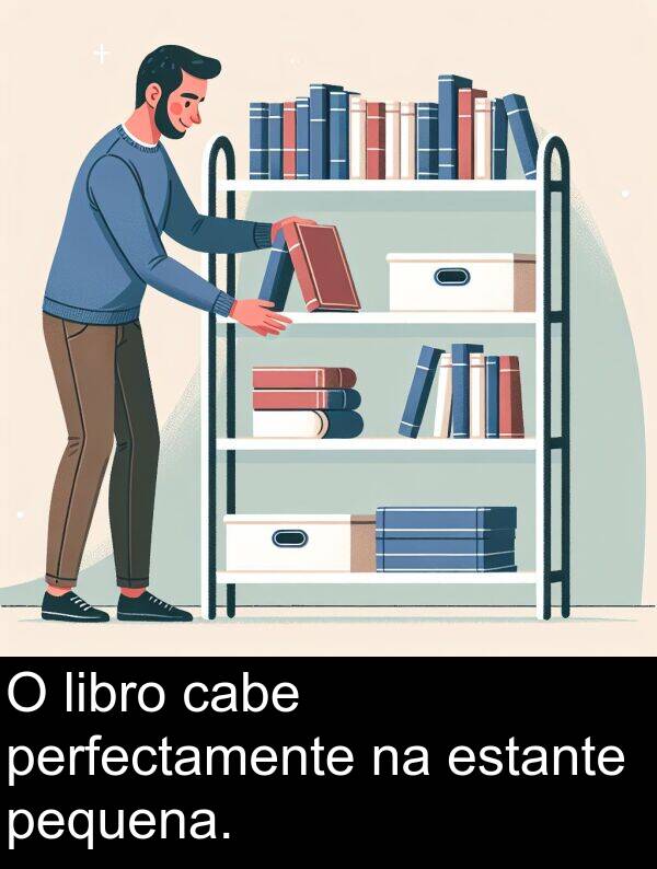 perfectamente: O libro cabe perfectamente na estante pequena.