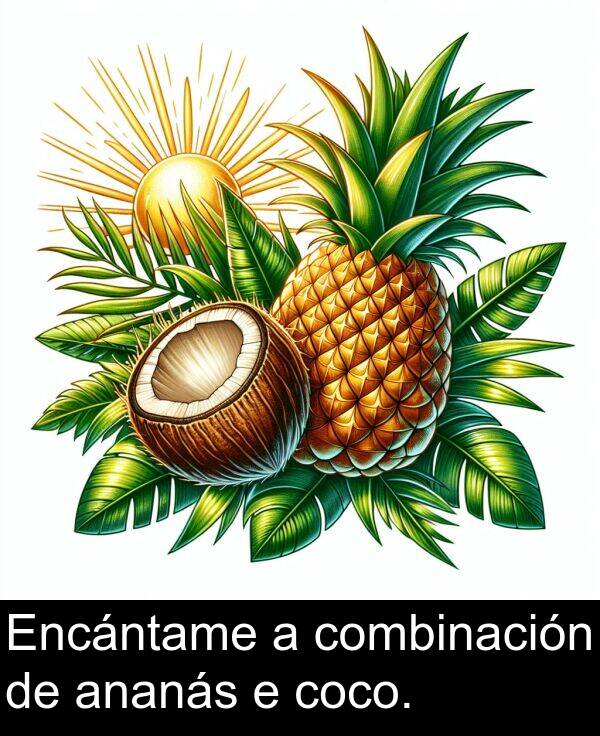 combinación: Encántame a combinación de ananás e coco.