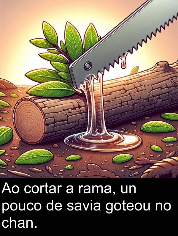 rama: Ao cortar a rama, un pouco de savia goteou no chan.