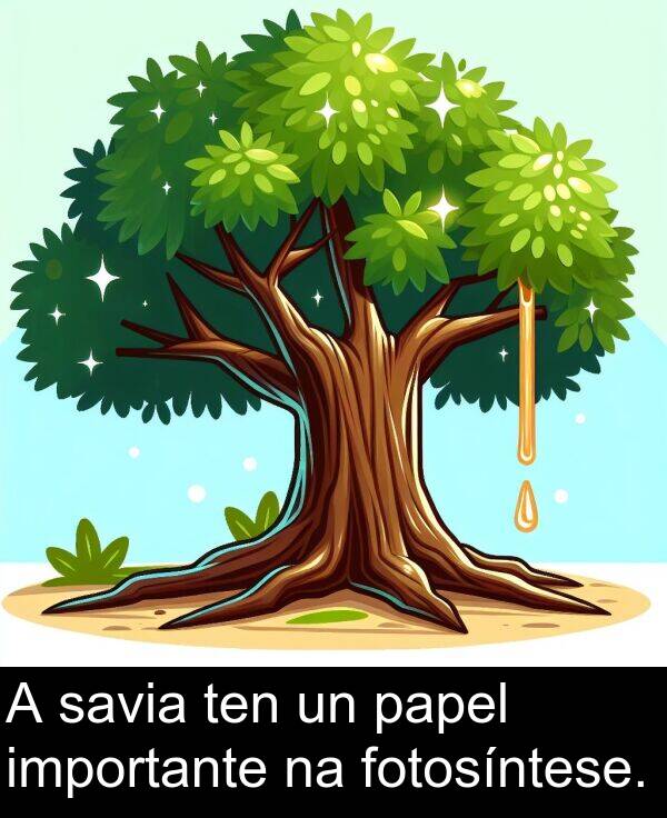 fotosíntese: A savia ten un papel importante na fotosíntese.