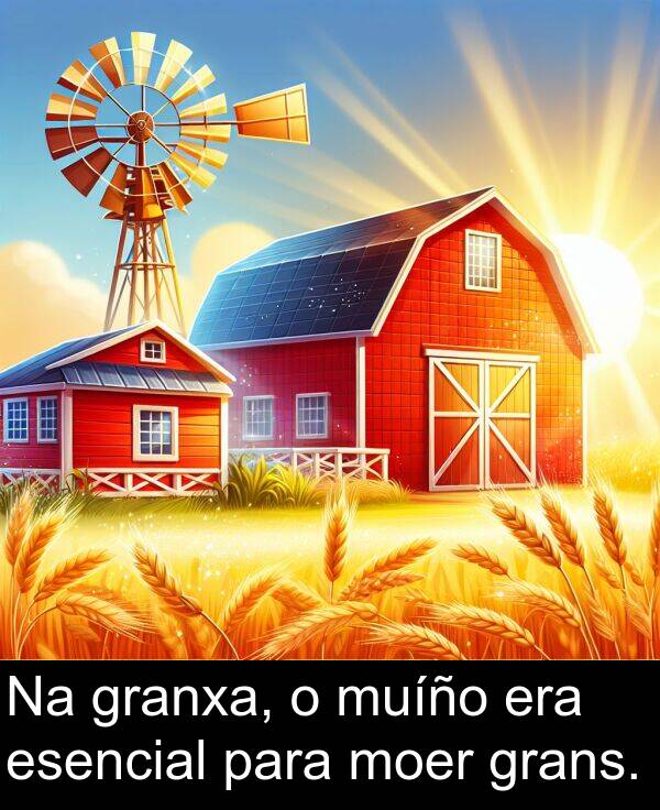 granxa: Na granxa, o muíño era esencial para moer grans.