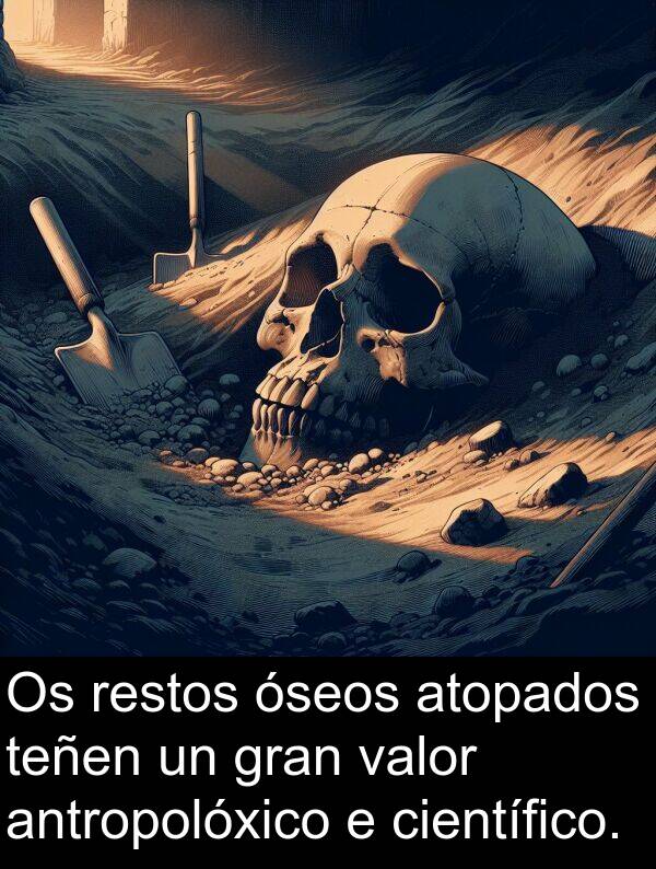 valor: Os restos óseos atopados teñen un gran valor antropolóxico e científico.