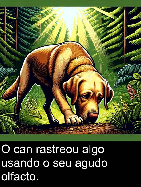 rastreou: O can rastreou algo usando o seu agudo olfacto.