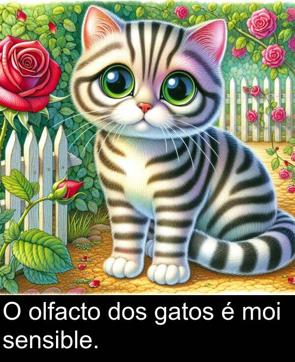 dos: O olfacto dos gatos é moi sensible.