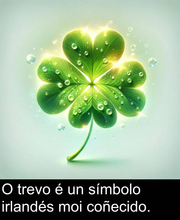 irlandés: O trevo é un símbolo irlandés moi coñecido.