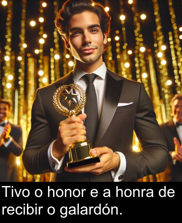 recibir: Tivo o honor e a honra de recibir o galardón.