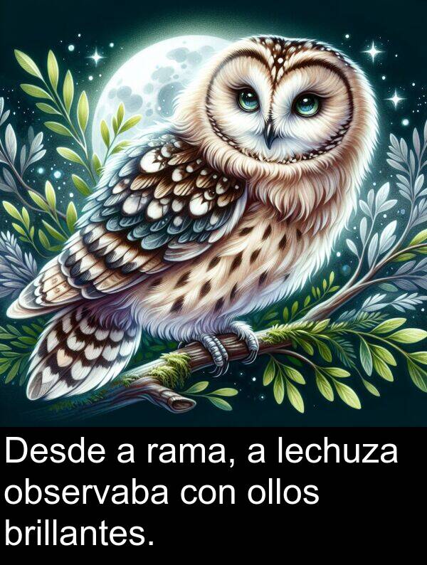 rama: Desde a rama, a lechuza observaba con ollos brillantes.