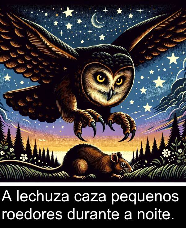 roedores: A lechuza caza pequenos roedores durante a noite.