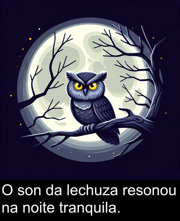resonou: O son da lechuza resonou na noite tranquila.