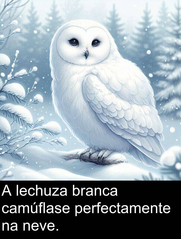 perfectamente: A lechuza branca camúflase perfectamente na neve.