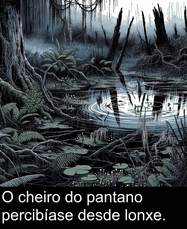 desde: O cheiro do pantano percibíase desde lonxe.