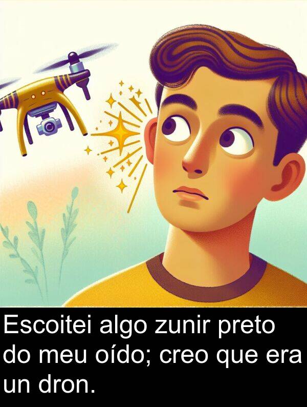 oído: Escoitei algo zunir preto do meu oído; creo que era un dron.