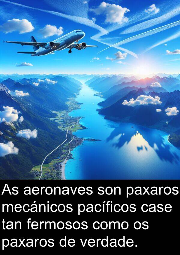 paxaros: As aeronaves son paxaros mecánicos pacíficos case tan fermosos como os paxaros de verdade.