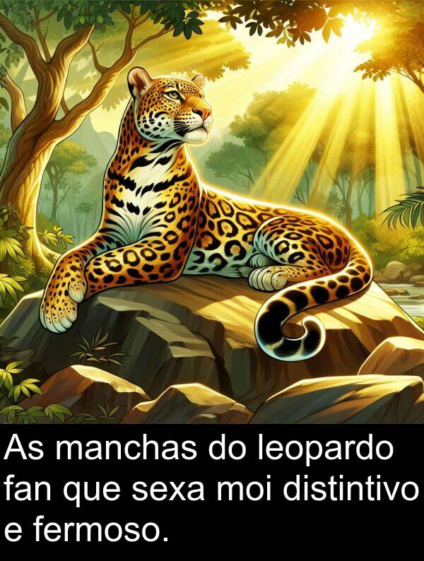 manchas: As manchas do leopardo fan que sexa moi distintivo e fermoso.