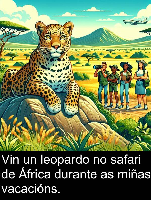 miñas: Vin un leopardo no safari de África durante as miñas vacacións.