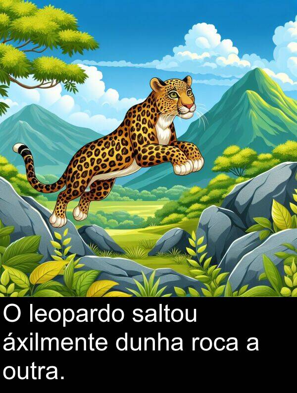 dunha: O leopardo saltou áxilmente dunha roca a outra.