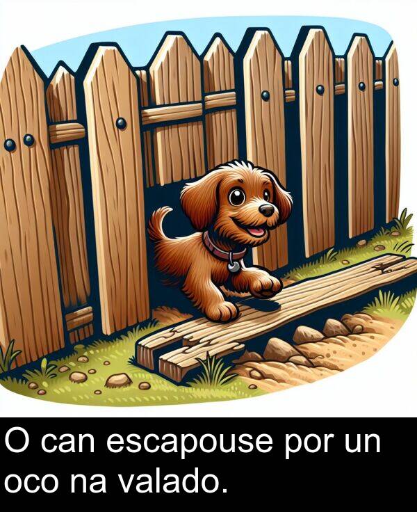 valado: O can escapouse por un oco na valado.