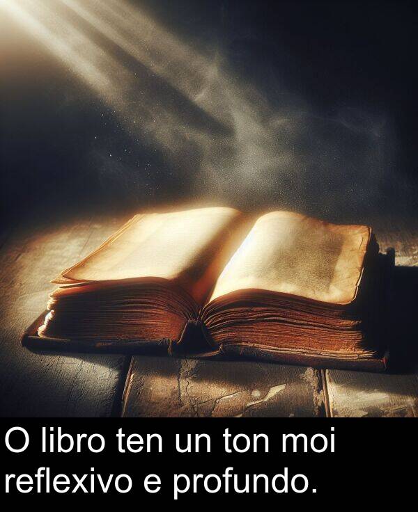 reflexivo: O libro ten un ton moi reflexivo e profundo.
