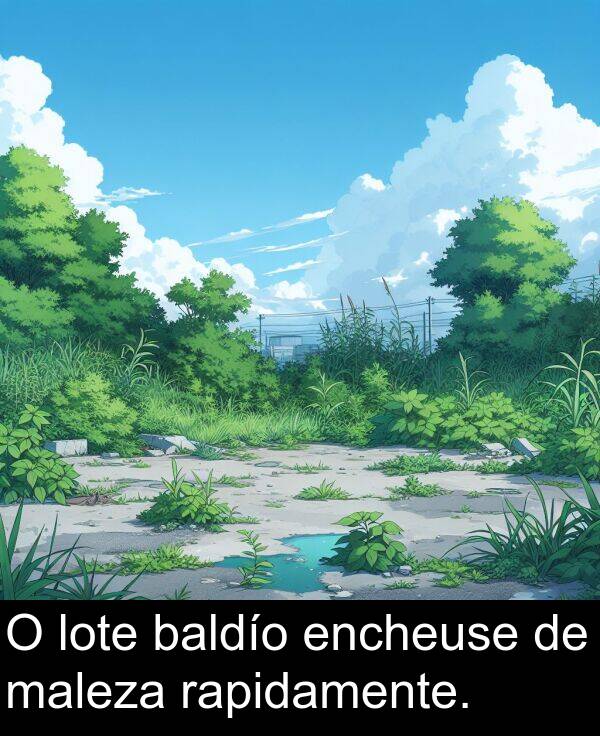 rapidamente: O lote baldío encheuse de maleza rapidamente.