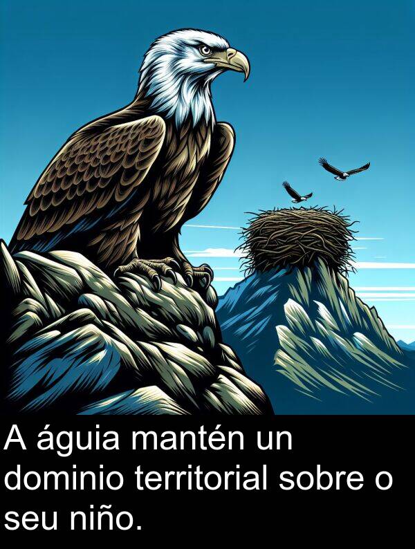 territorial: A águia mantén un dominio territorial sobre o seu niño.
