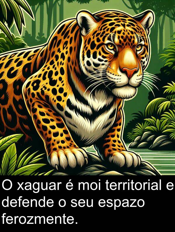 territorial: O xaguar é moi territorial e defende o seu espazo ferozmente.