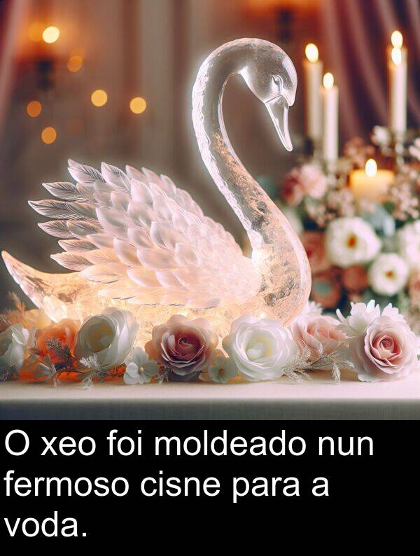 cisne: O xeo foi moldeado nun fermoso cisne para a voda.
